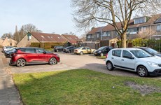 Afbeelding 1 van Roden: Dorth
