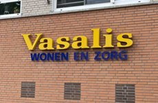Afbeelding 2 van Roden: Vasalis (Riemsnijder)