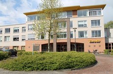 Afbeelding 1 van Roden: Vasalis (Riemsnijder)