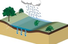 Wadi principe in tekening